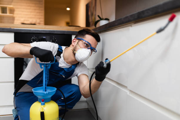 Best Wasp Removal Services  in Roaming Shores, OH
