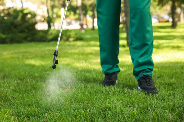 Best Ant Control Services  in Roaming Shores, OH