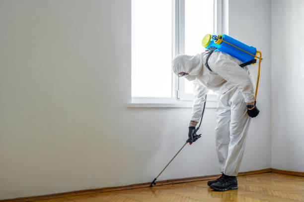 Pest Control Cost in Roaming Shores, OH