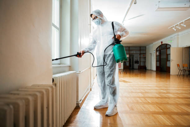 Best Cockroach Control Services  in Roaming Shores, OH