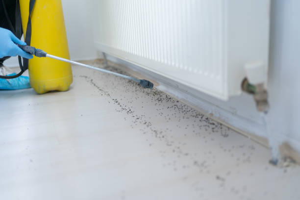 Best Affordable Pest Control Services  in Roaming Shores, OH