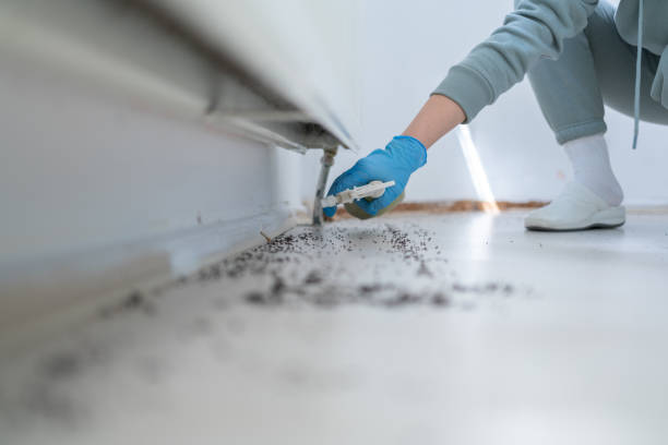 Best Insect Control  in Roaming Shores, OH
